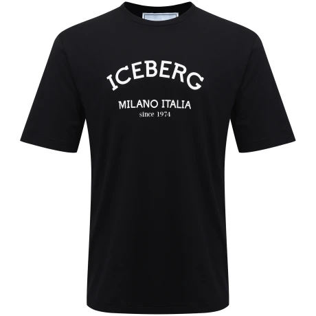 Sweatshirt Iceberg
