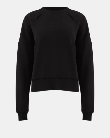 Սվիթշոտ Iceberg